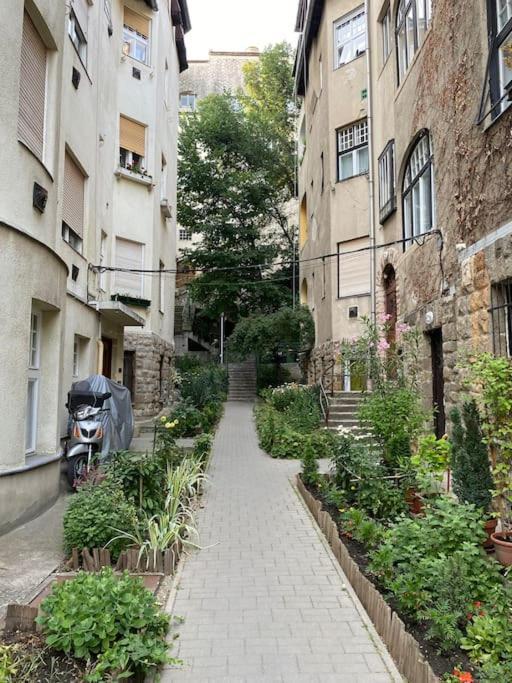 Tiny Private Apartment In Central Buda. Budapest Exterior foto